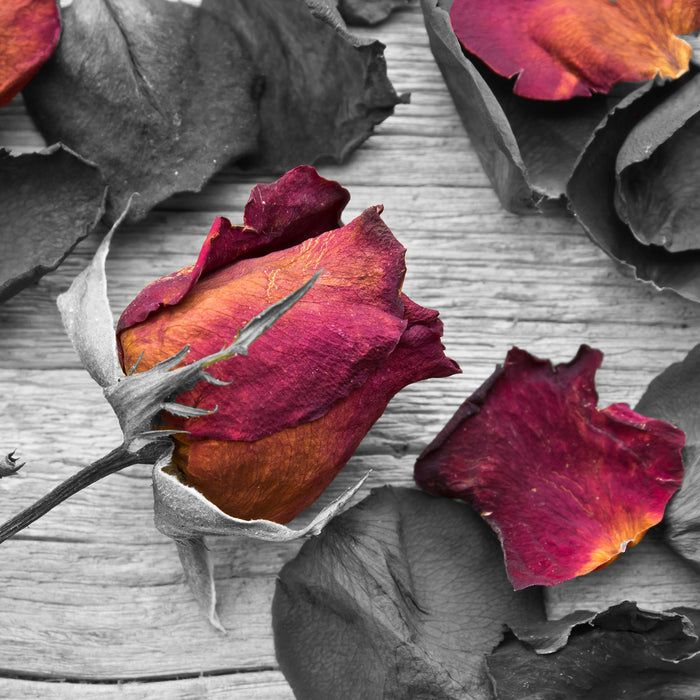 getrocknete Rosen auf Holztisch, Glasbild Quadratisch