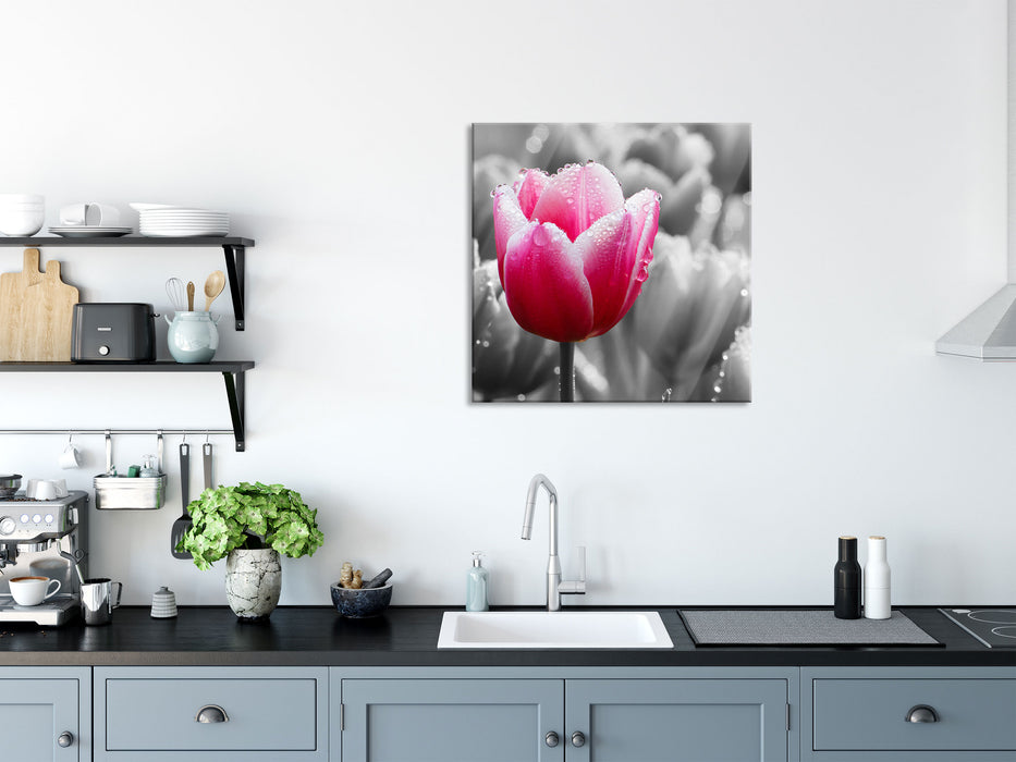 Tulpen im Morgentau, Glasbild Quadratisch