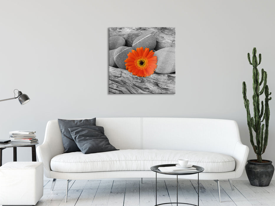 Gerbera zwischen Zen Steinen, Glasbild Quadratisch