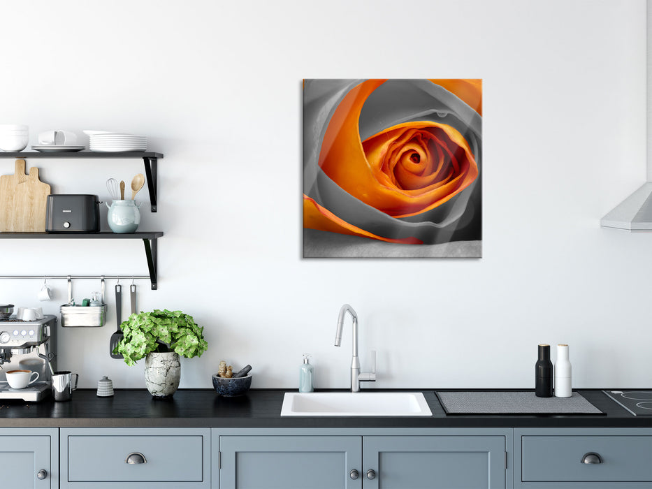 wunderschöne geschlossene Rose, Glasbild Quadratisch