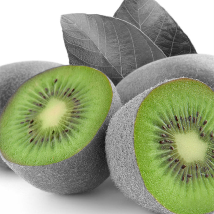 schöne Kiwis, Glasbild Quadratisch