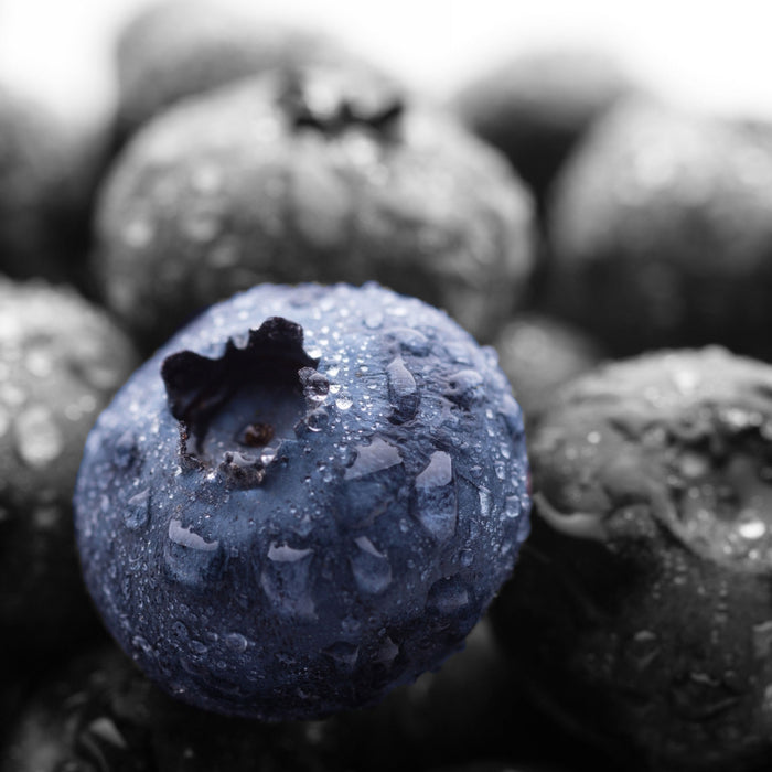 Heidelbeeren mit Tropfen, Glasbild Quadratisch