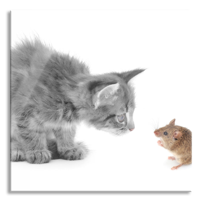 Pixxprint Katz und Maus, Glasbild Quadratisch