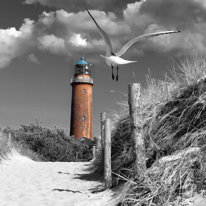 Leuchtturm mit Möwe an Strandweg, Glasbild Quadratisch