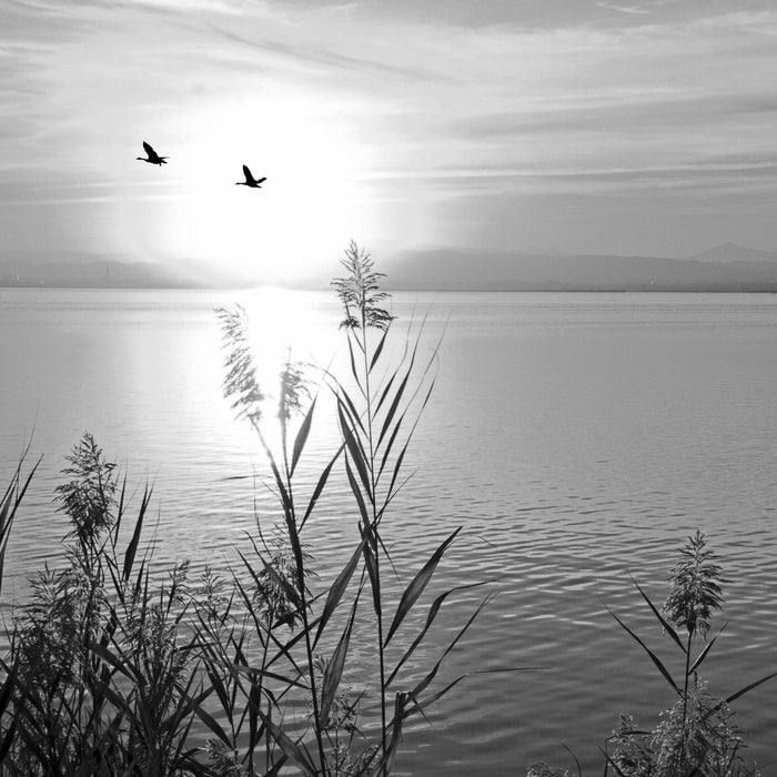 Sonnenuntergang am See, Glasbild Quadratisch