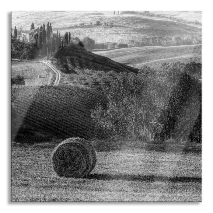 Pixxprint Heuballen Toskana, Glasbild Quadratisch
