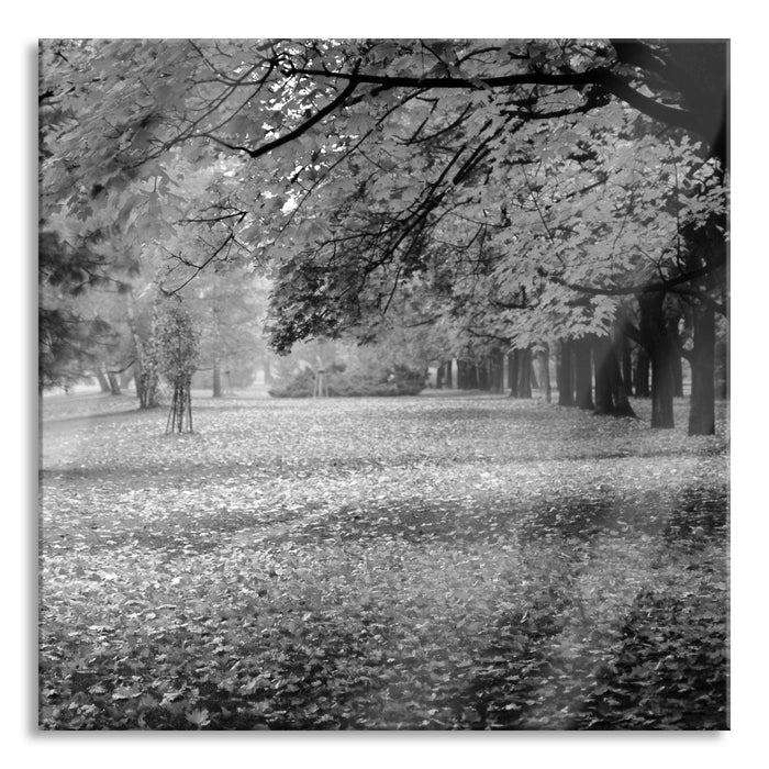 schöner Park im Herbst, Glasbild Quadratisch