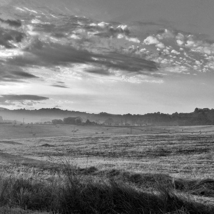 Feld mit Heuballen, Glasbild Quadratisch