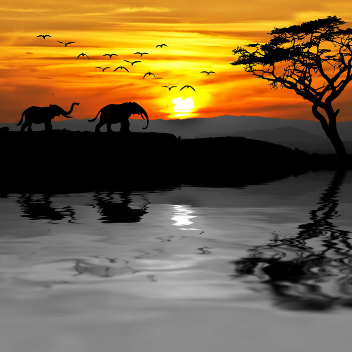 Afrikanische Steppe mit Elefanten, Glasbild Quadratisch