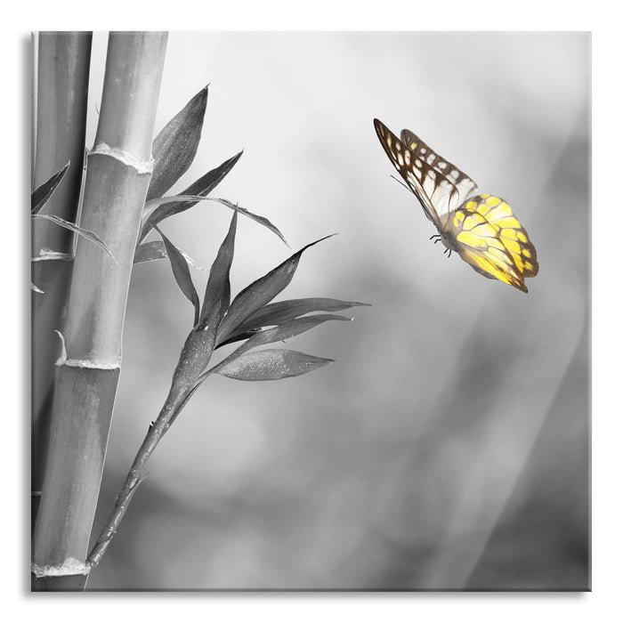 schöner Schmetterling vor Bambus, Glasbild Quadratisch