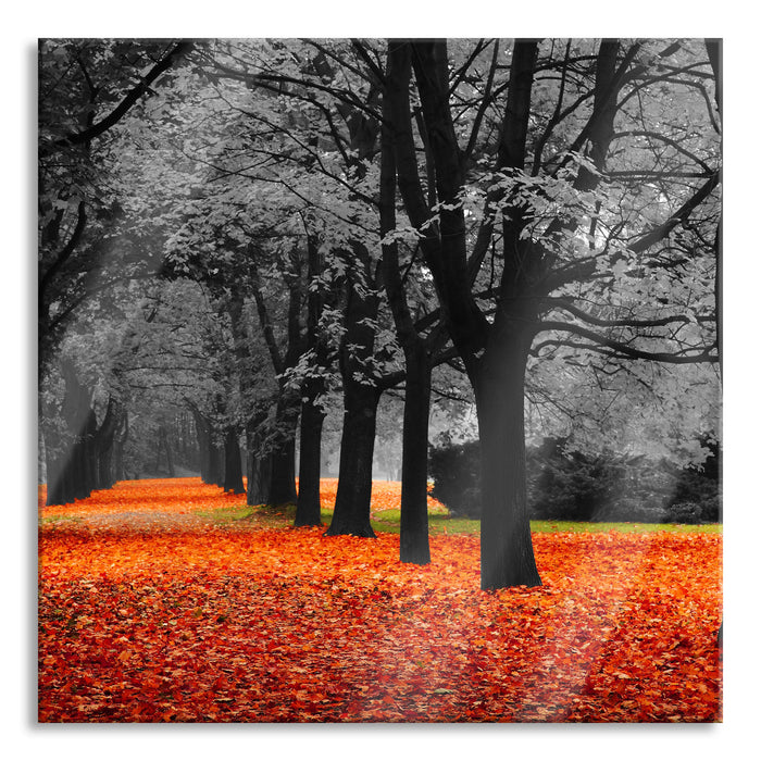 schöner Waldweg im Herbst, Glasbild Quadratisch