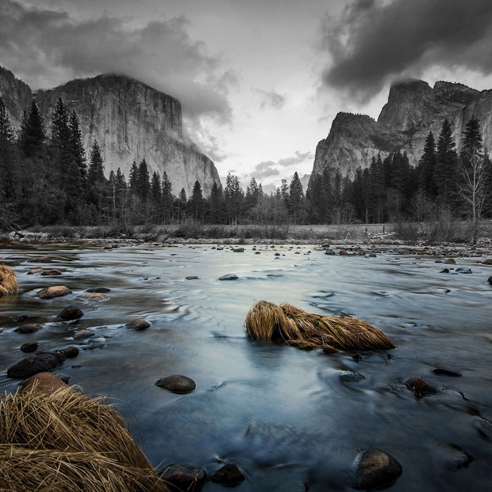 seichter Fluss im Wald, Glasbild Quadratisch