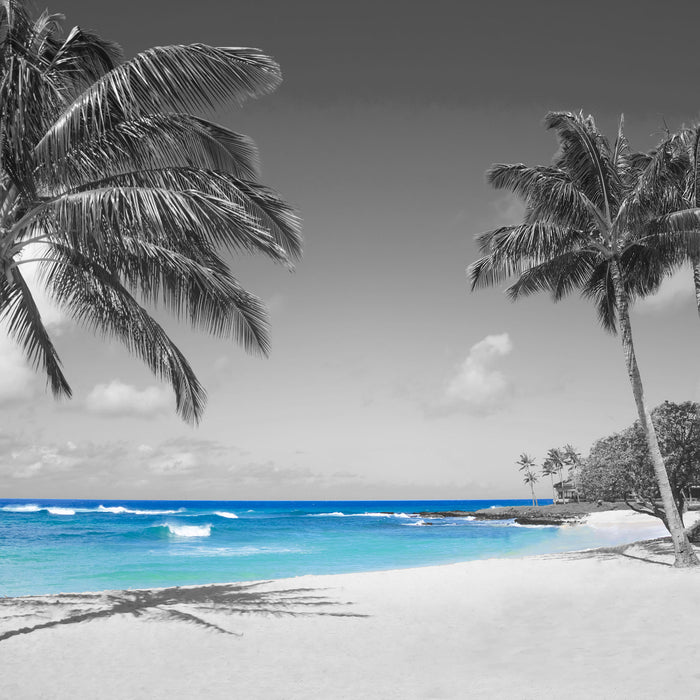 schöner Strand mit Palmen, Glasbild Quadratisch