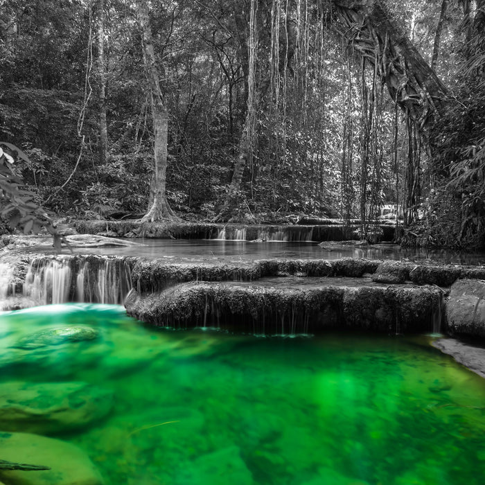 wunderschöner tropischer Fluss, Glasbild Quadratisch