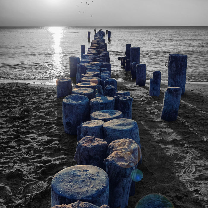 einzigartige Baumstümpfe am Meer, Glasbild Quadratisch