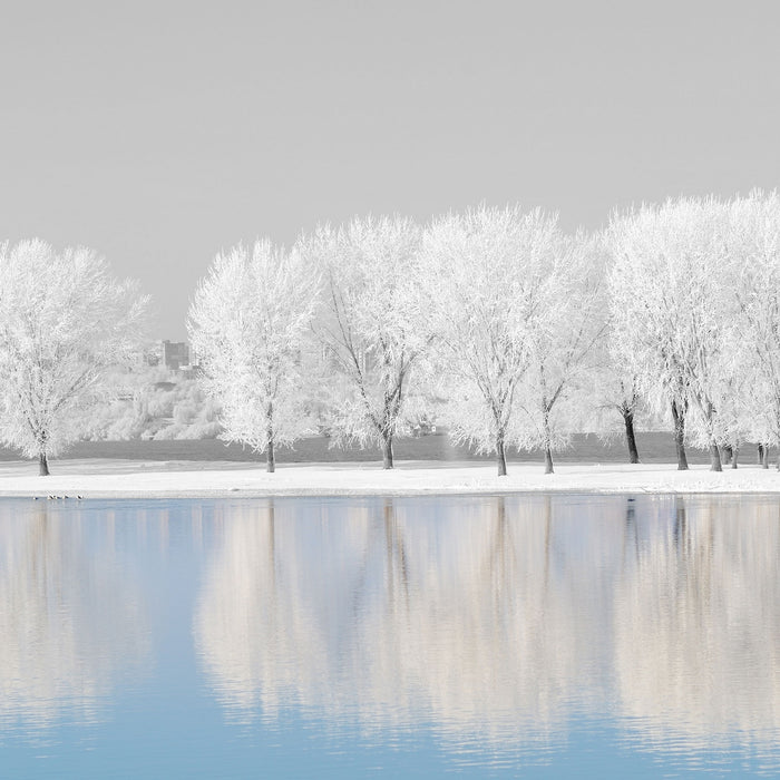 schneebedeckte Bäume an einem See, Glasbild Quadratisch