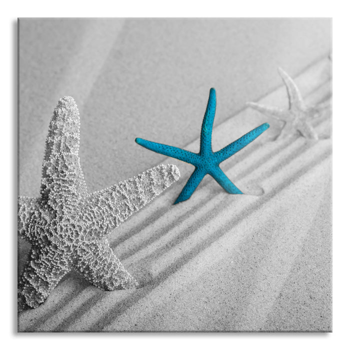 Pixxprint Seesterne am Strand, Glasbild Quadratisch