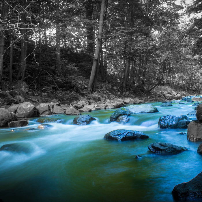 Fluss im Wald mit Steinen, Glasbild Quadratisch