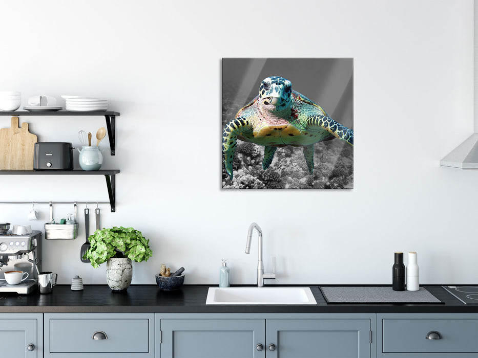 Schildkröte Korallenriff, Glasbild Quadratisch