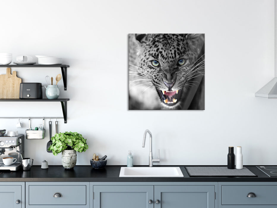 schöner fauchender Leopard, Glasbild Quadratisch