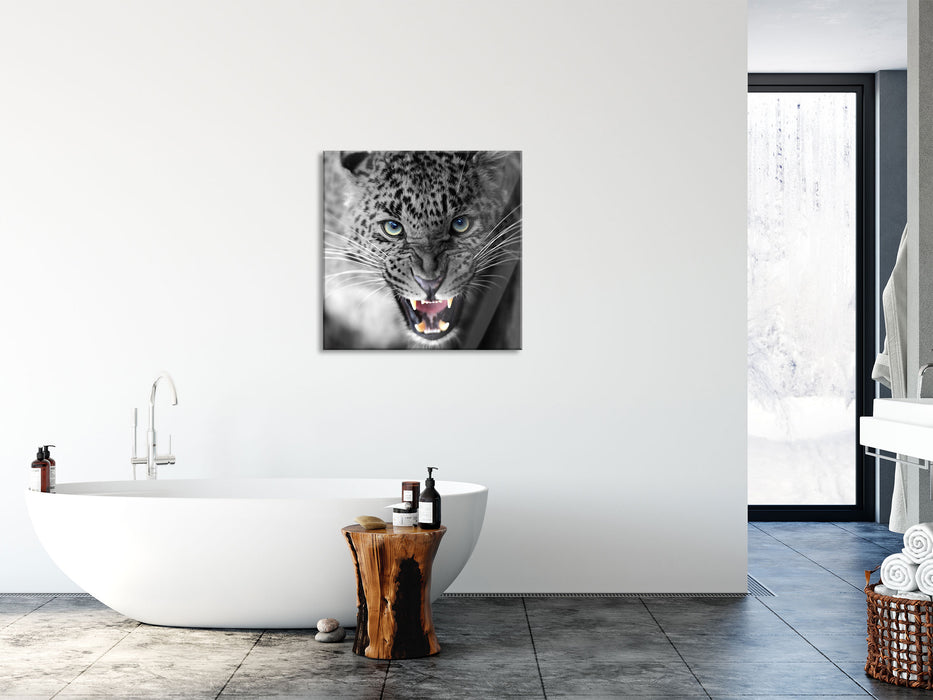 schöner fauchender Leopard, Glasbild Quadratisch