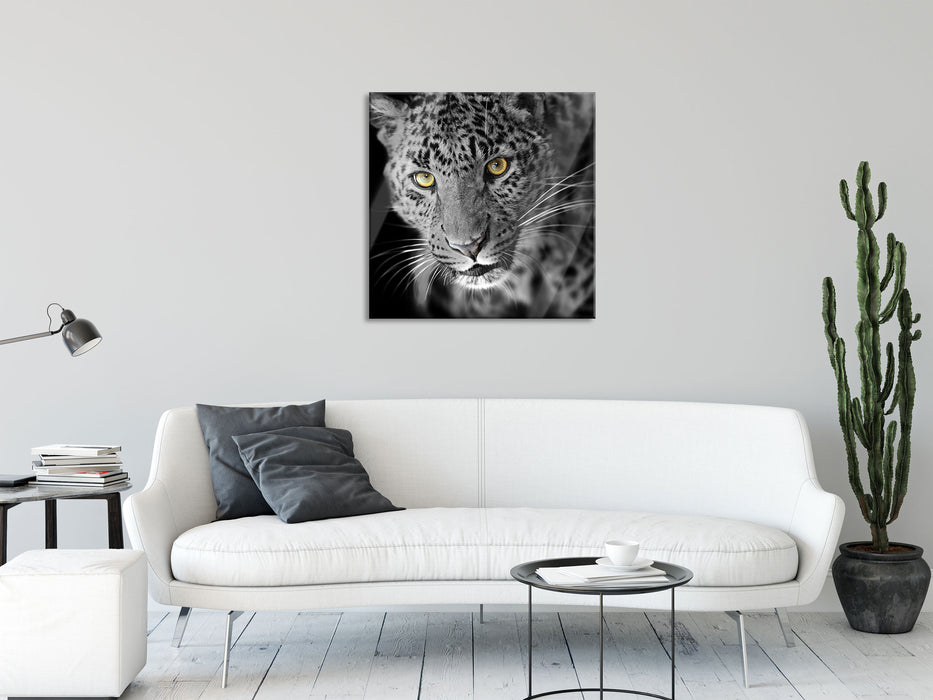 prächtig anmutiger Leopard, Glasbild Quadratisch