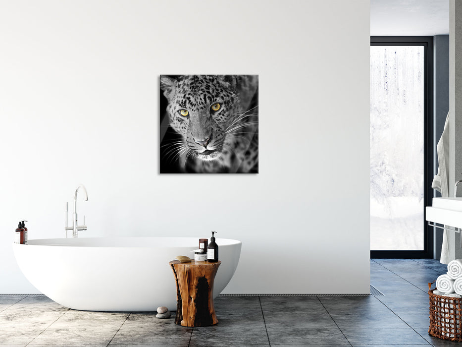 prächtig anmutiger Leopard, Glasbild Quadratisch