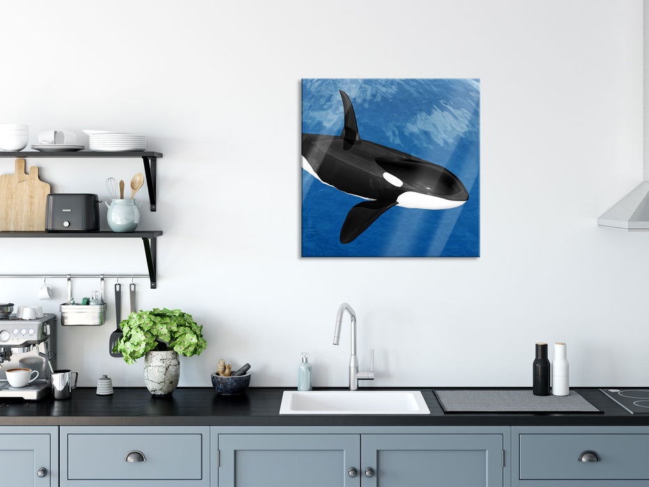 schöner Orca im Meer, Glasbild Quadratisch