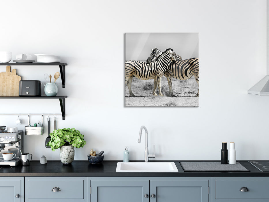 Zebras in der Savanne, Glasbild Quadratisch