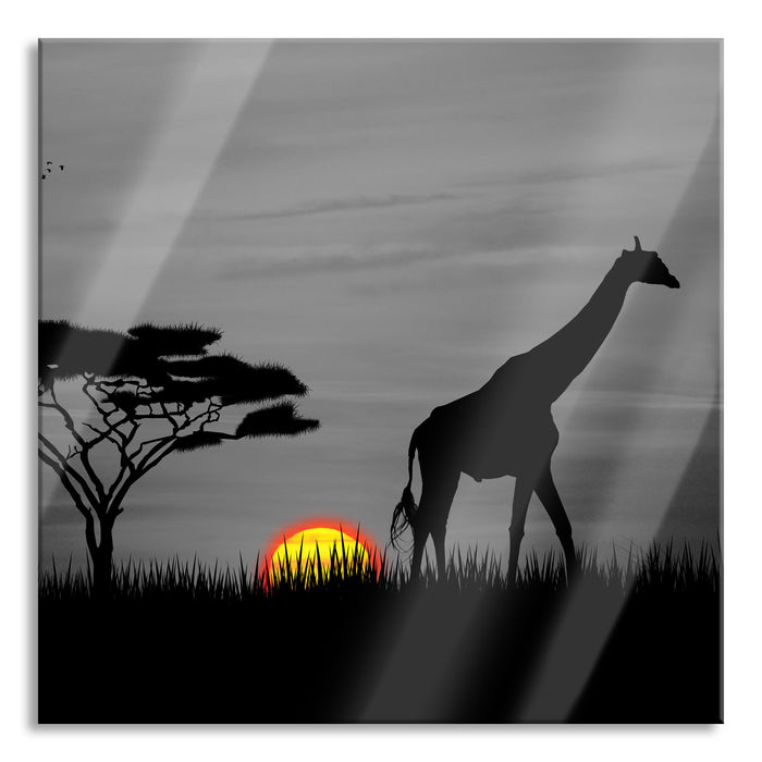 Giraffe im Sonnenuntergang, Glasbild Quadratisch