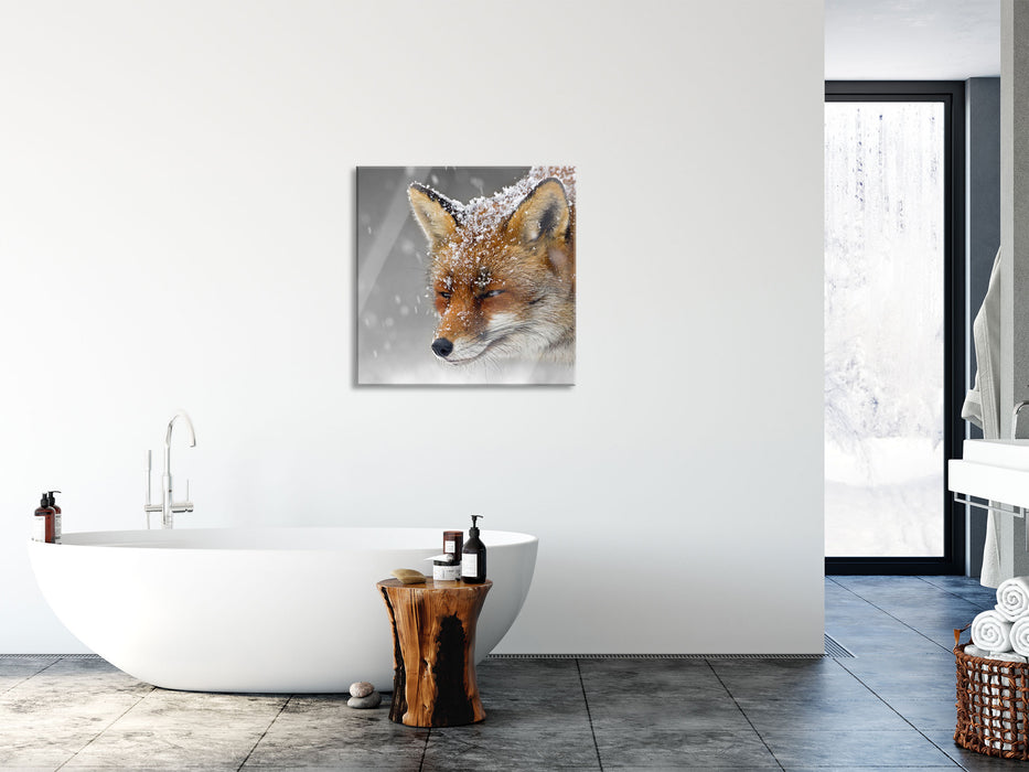 wunderschöner Fuchs im Schnee, Glasbild Quadratisch