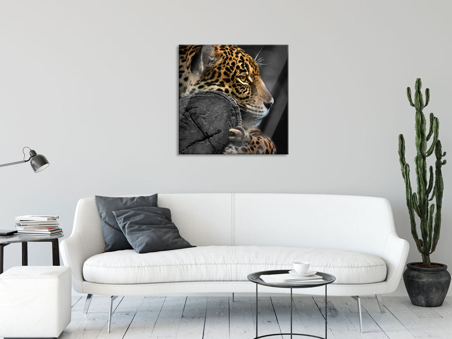 prächtiger Leopard auf Stamm, Glasbild Quadratisch