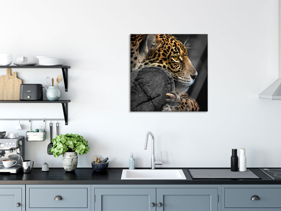 prächtiger Leopard auf Stamm, Glasbild Quadratisch