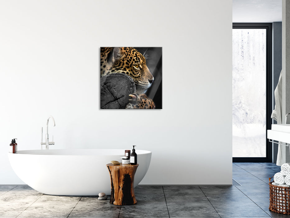 prächtiger Leopard auf Stamm, Glasbild Quadratisch