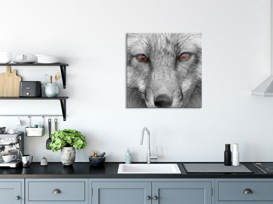 wunderschöner Fuchs im Portrait, Glasbild Quadratisch