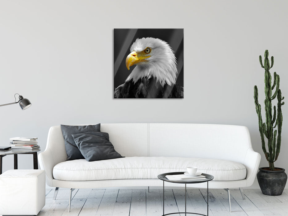 eindrucksvoller Weißkopfseeadler, Glasbild Quadratisch