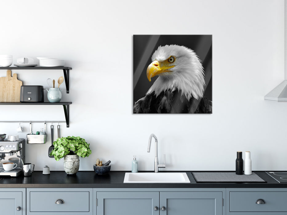 eindrucksvoller Weißkopfseeadler, Glasbild Quadratisch