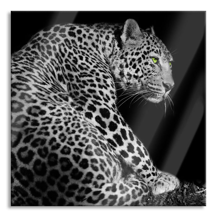 Pixxprint Dark wunderschöner Leopard, Glasbild Quadratisch