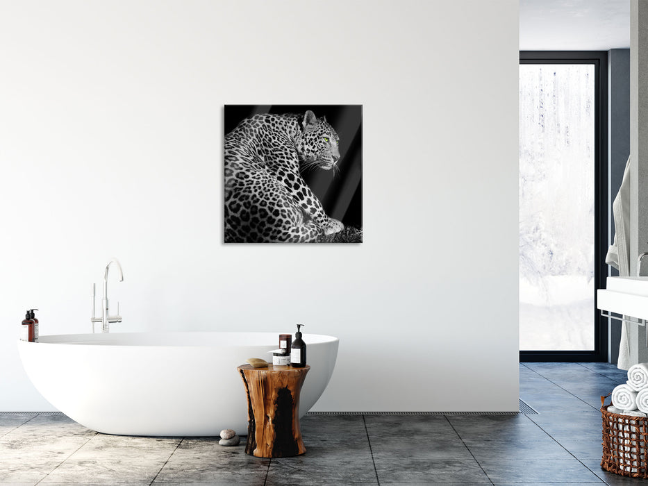 Dark wunderschöner Leopard, Glasbild Quadratisch