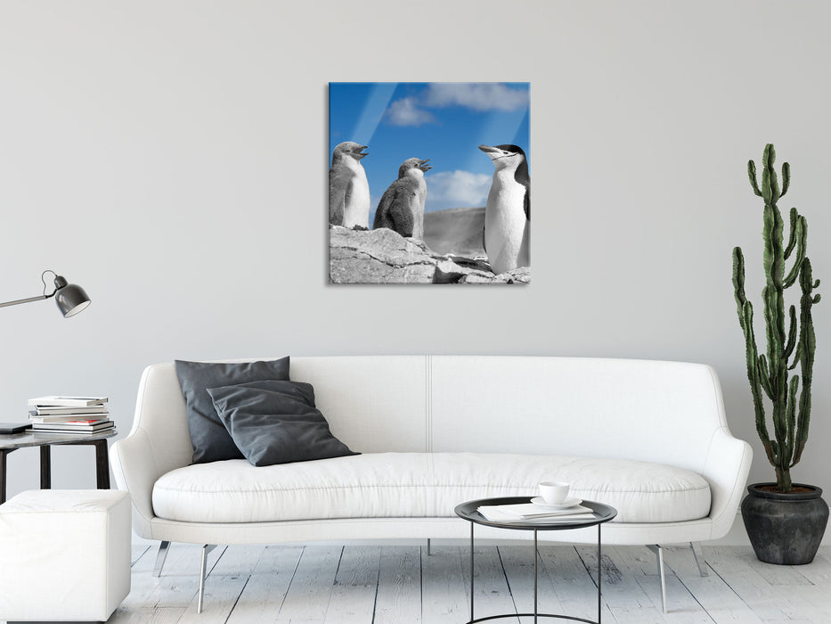 süße Pinguine, Glasbild Quadratisch