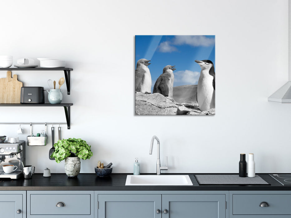 süße Pinguine, Glasbild Quadratisch