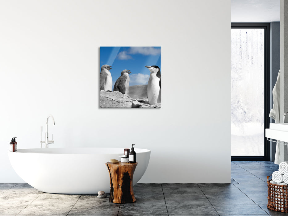 süße Pinguine, Glasbild Quadratisch