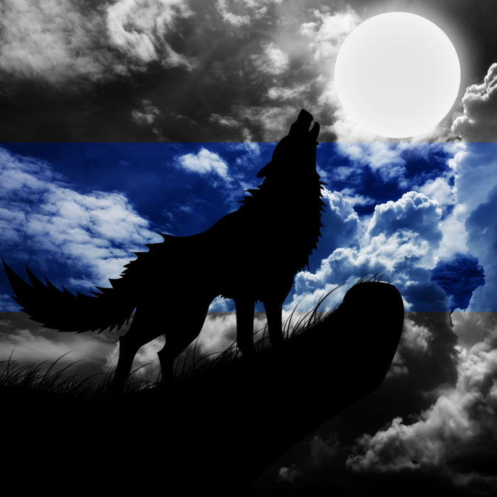 Wolf Silhouette im Vollmond, Glasbild Quadratisch