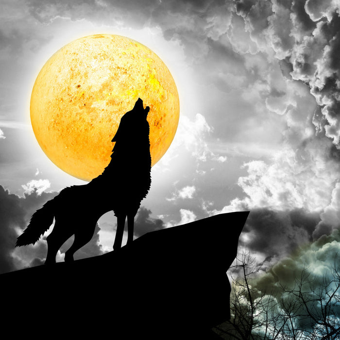 Mystischer Wolf im Vollmond, Glasbild Quadratisch