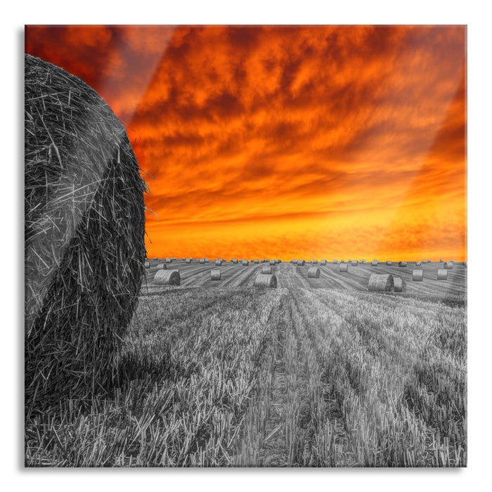 Sonnenuntergang Feldlandschaft, Glasbild Quadratisch