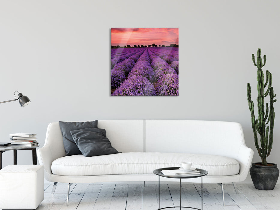 Wunderschöne Lavendel Provence, Glasbild Quadratisch