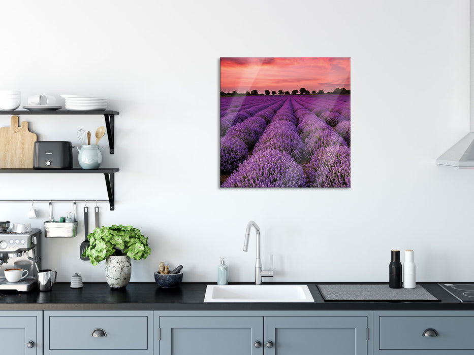 Wunderschöne Lavendel Provence, Glasbild Quadratisch