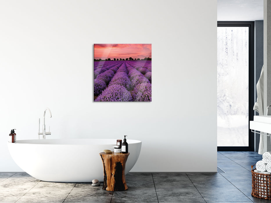 Wunderschöne Lavendel Provence, Glasbild Quadratisch