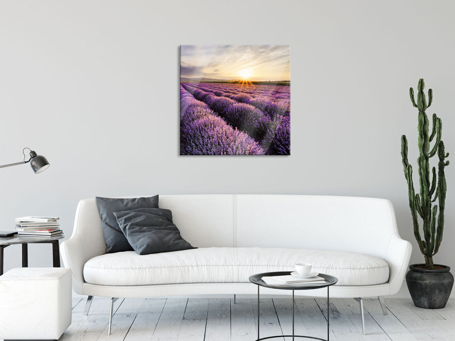 Traumhafte Lavendel Provence, Glasbild Quadratisch