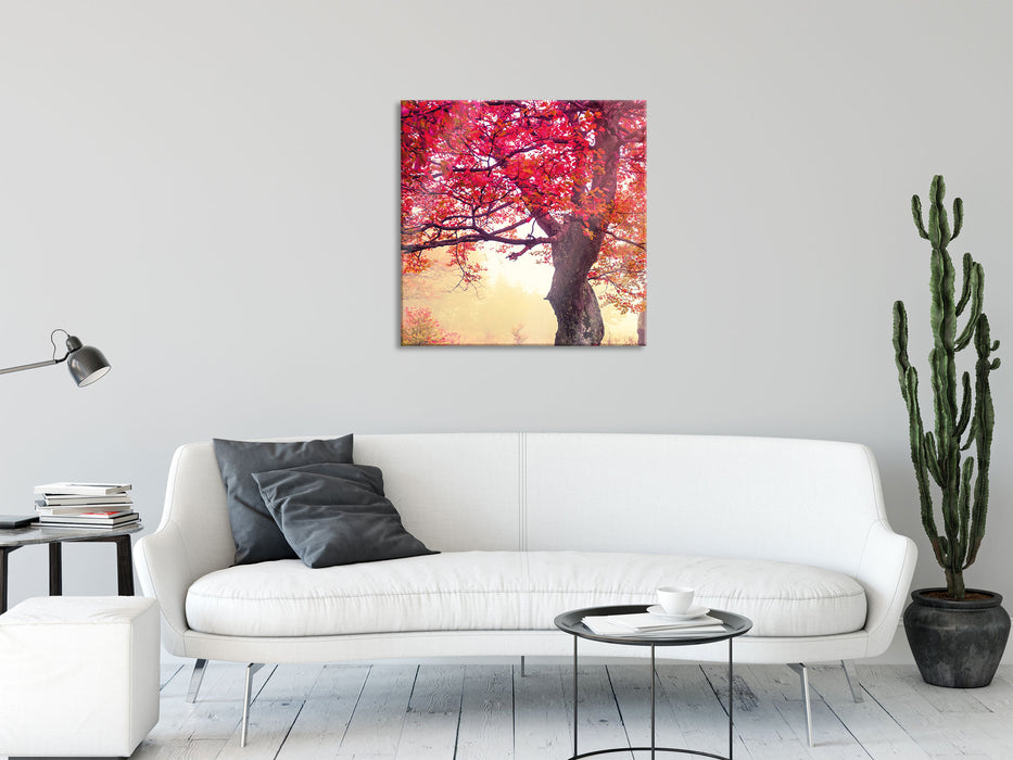 Traumhafte Herbstlandschaft, Glasbild Quadratisch